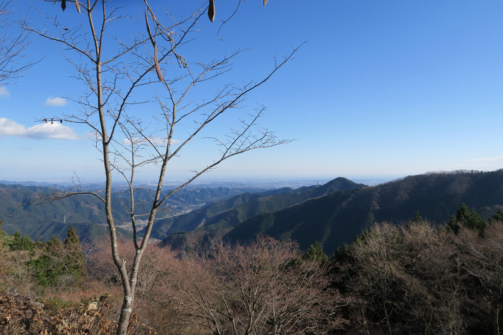 f:id:border-pichi:20181216133718j:plain