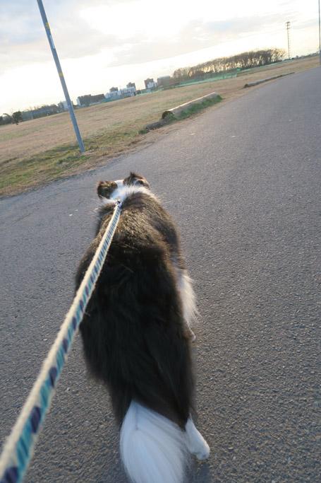 f:id:border-pichi:20190114184031j:plain