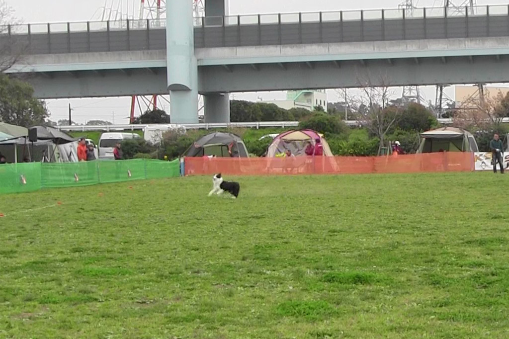 f:id:border-pichi:20190402235118j:plain f:id:border-pichi:20190402235118j:plain