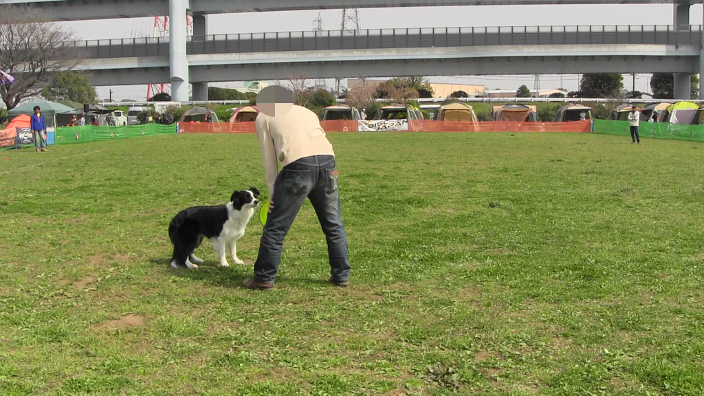 f:id:border-pichi:20190403000050j:plain