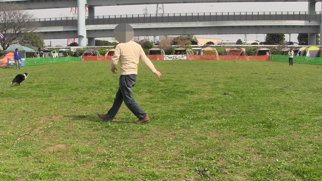 f:id:border-pichi:20190403000136j:plain