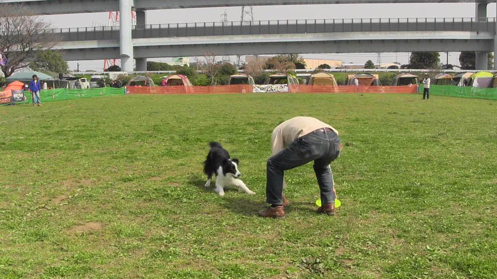 f:id:border-pichi:20190403000313j:plain