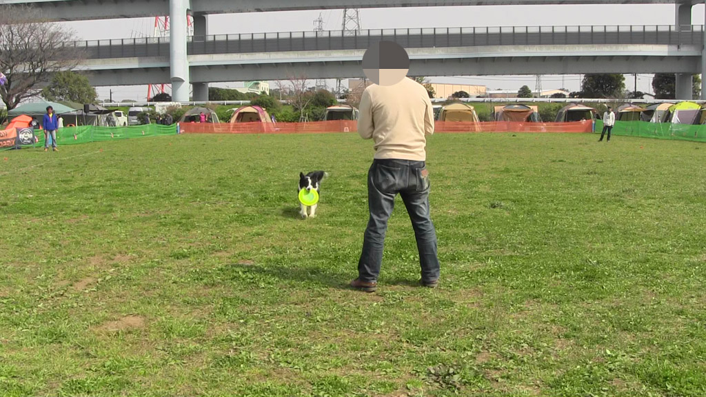 f:id:border-pichi:20190403000453j:plain