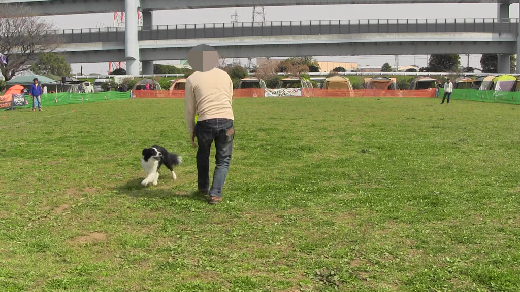 f:id:border-pichi:20190403000558j:plain
