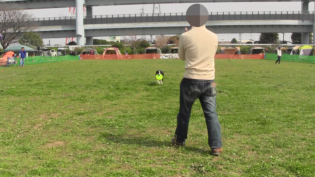 f:id:border-pichi:20190403000655j:plain