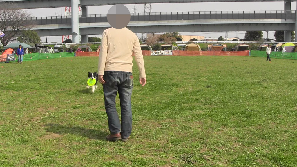 f:id:border-pichi:20190403000755j:plain
