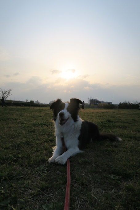 f:id:border-pichi:20190403002036j:plain