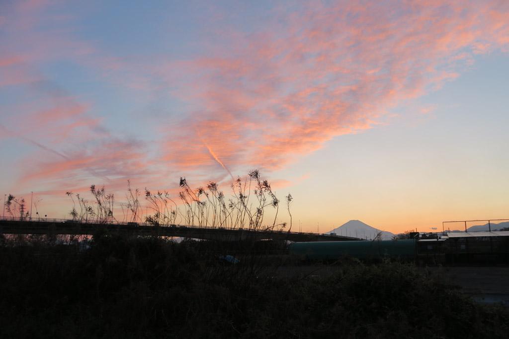 f:id:border-pichi:20190406124036j:plain f:id:border-pichi:20190406124036j:plain