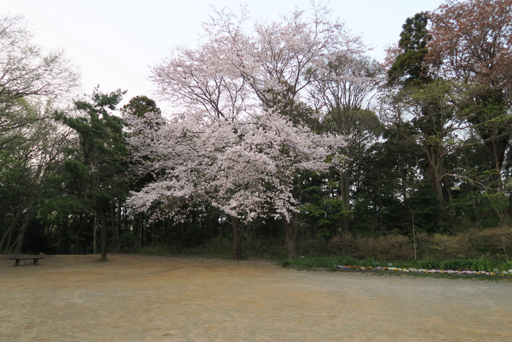 f:id:border-pichi:20190409184610j:plain f:id:border-pichi:20190409184610j:plain