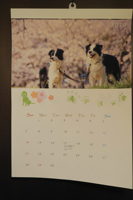 f:id:border-pichi:20190414085939j:plain f:id:border-pichi:20190414085939j:plain