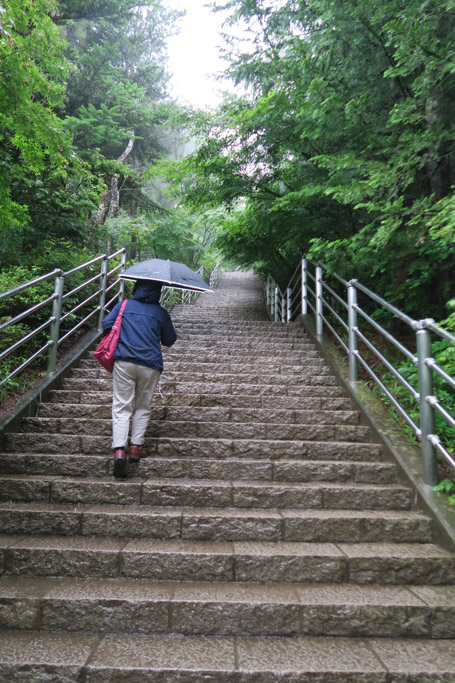f:id:border-pichi:20190616132414j:plain f:id:border-pichi:20190616132414j:plain