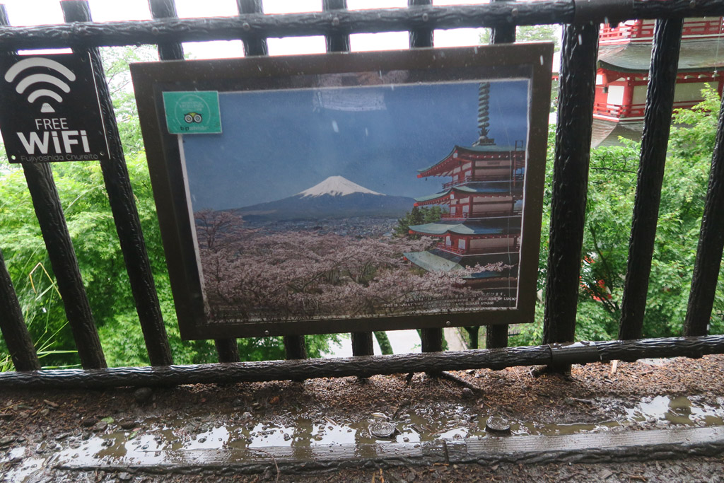 f:id:border-pichi:20190616132530j:plain f:id:border-pichi:20190616132530j:plain