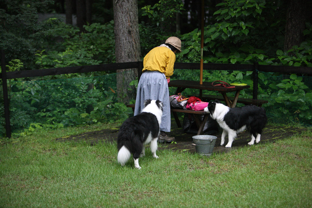 f:id:border-pichi:20190723202933j:plain