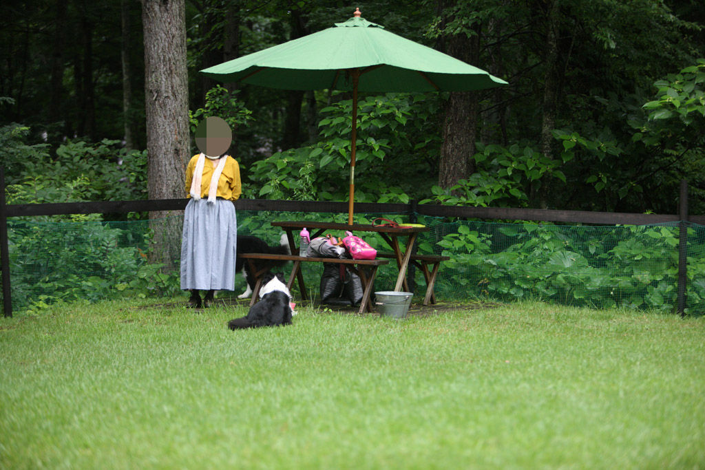f:id:border-pichi:20190723203512j:plain