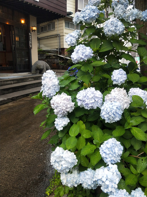 f:id:border-pichi:20190727200854j:plain