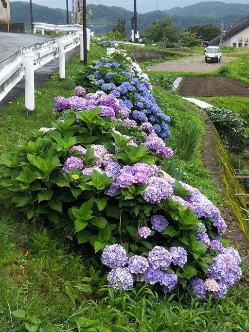 f:id:border-pichi:20190727200937j:plain