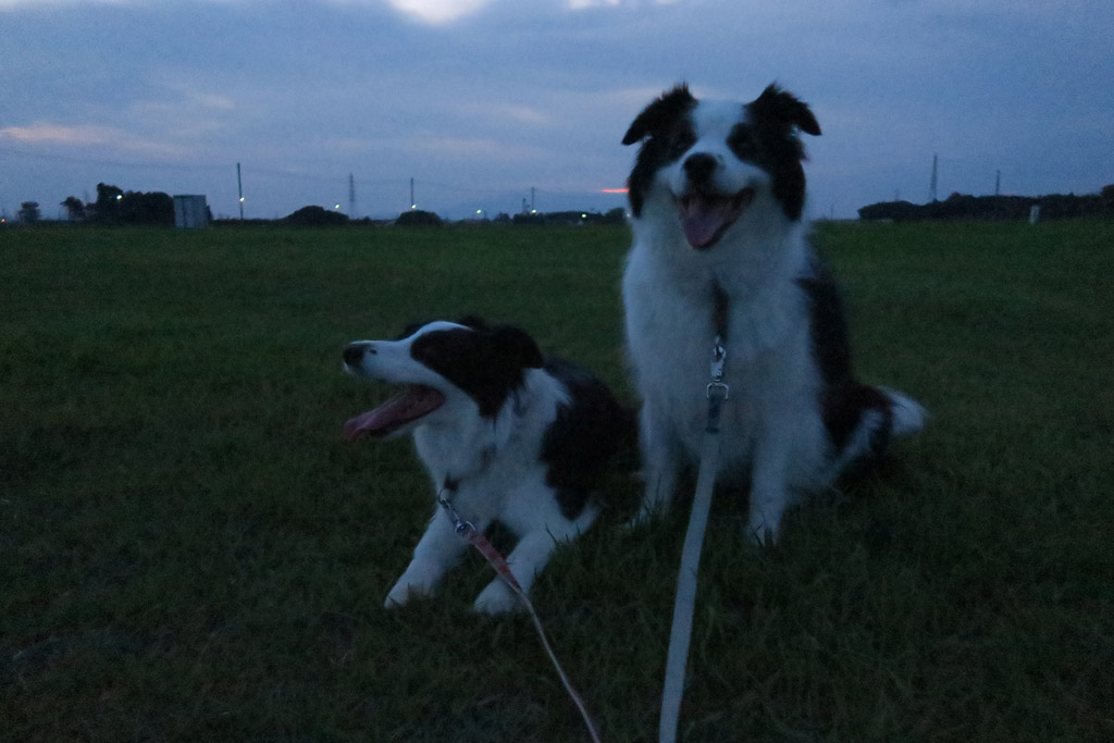 f:id:border-pichi:20190901002636j:plain