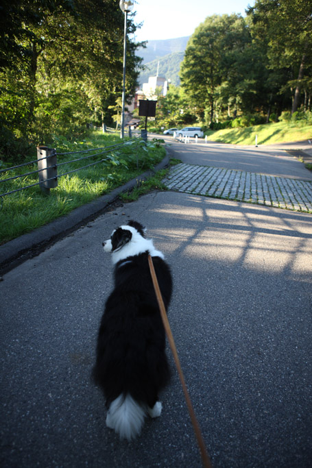 f:id:border-pichi:20190916120241j:plain