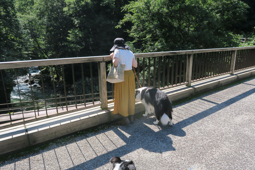 f:id:border-pichi:20190916122931j:plain