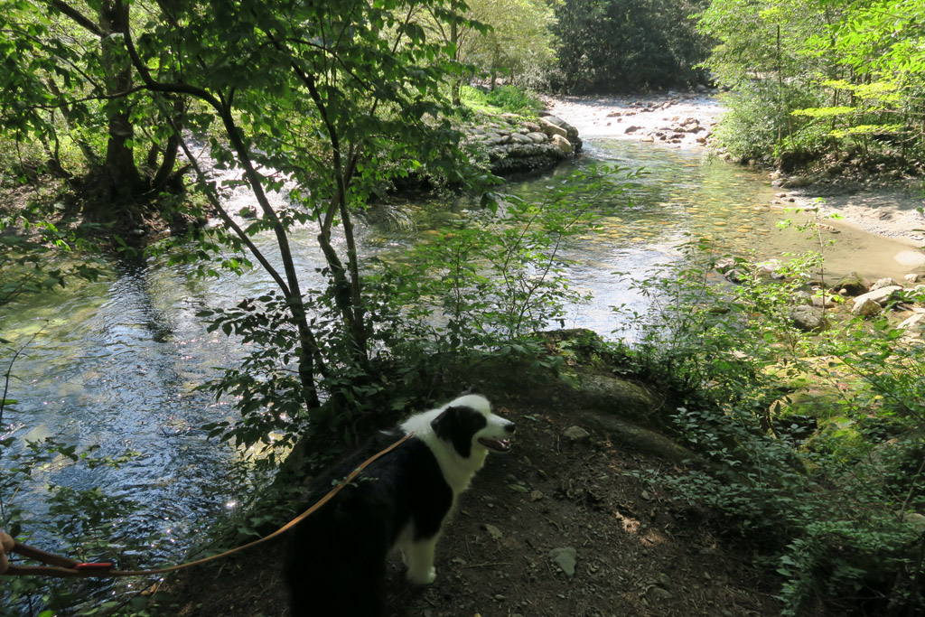 f:id:border-pichi:20190918202043j:plain