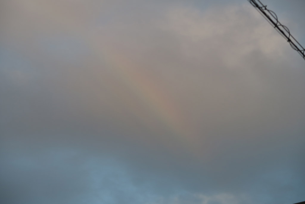f:id:border-pichi:20190923001134j:plain