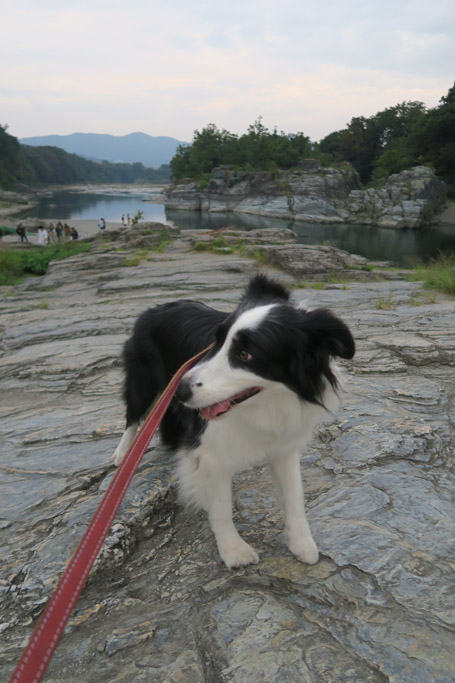 f:id:border-pichi:20190929231047j:plain