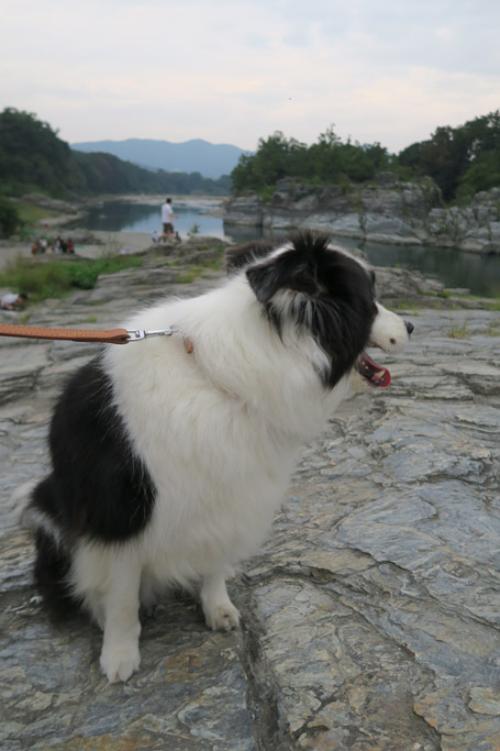 f:id:border-pichi:20190929231127j:plain