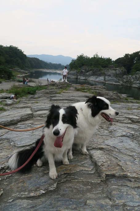 f:id:border-pichi:20190929231210j:plain