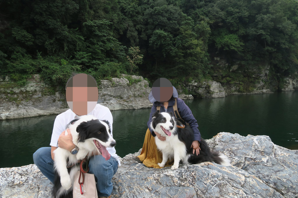 f:id:border-pichi:20190929231702j:plain