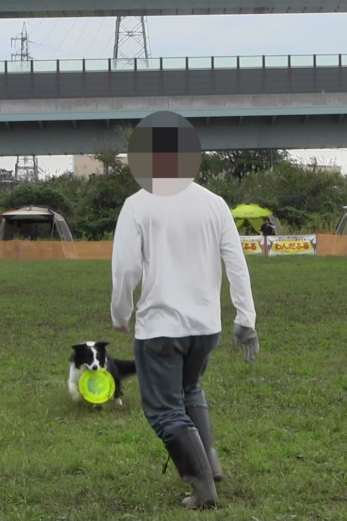f:id:border-pichi:20191021113930j:plain