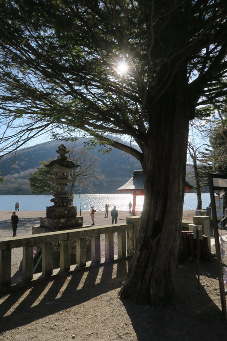f:id:border-pichi:20191110083005j:plain