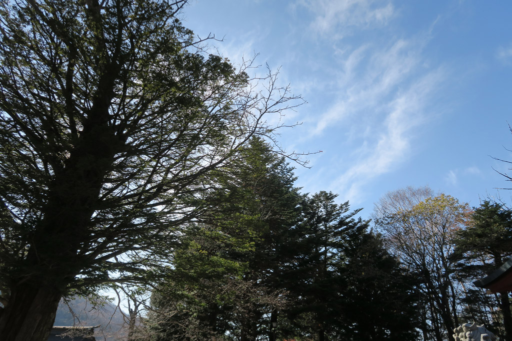 f:id:border-pichi:20191110083051j:plain