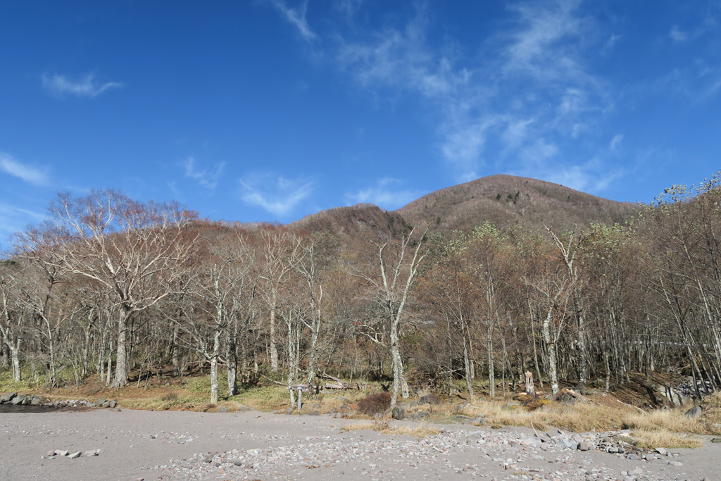 f:id:border-pichi:20191110083156j:plain