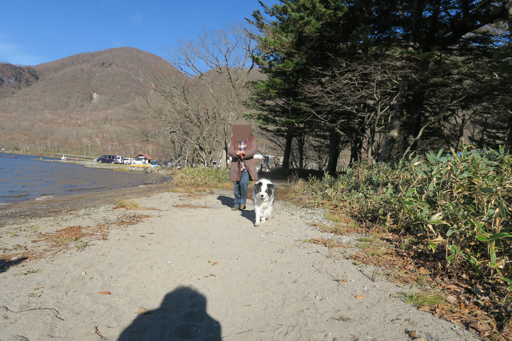 f:id:border-pichi:20191110083707j:plain