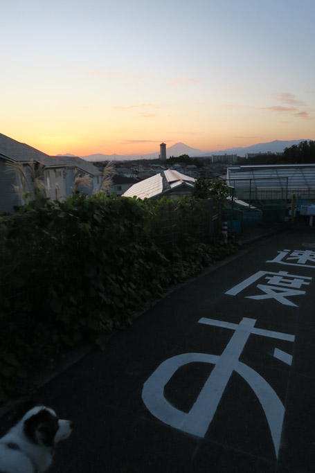 f:id:border-pichi:20191117075334j:plain