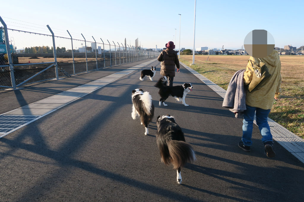 f:id:border-pichi:20191124111648j:plain