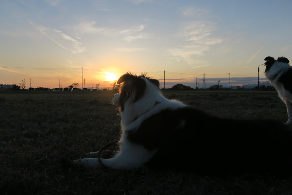 f:id:border-pichi:20191124112743j:plain