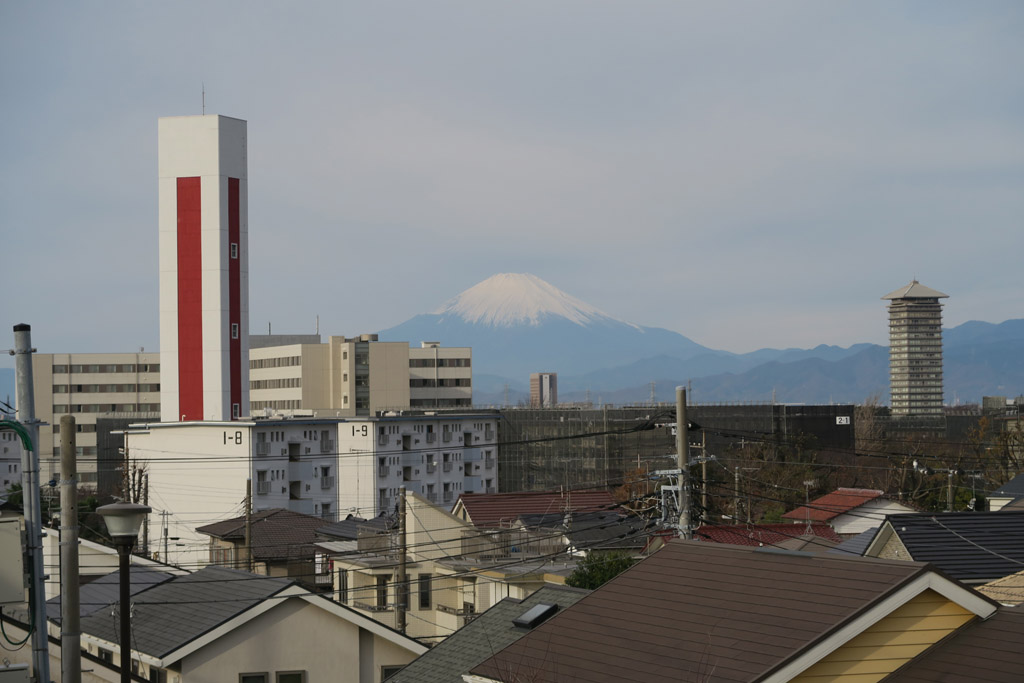 f:id:border-pichi:20191221113550j:plain f:id:border-pichi:20191221113550j:plain