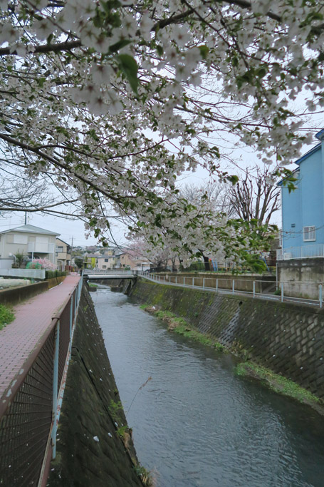 f:id:border-pichi:20200329202627j:plain