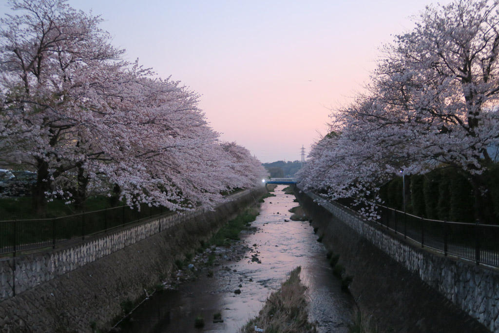 f:id:border-pichi:20200405173946j:plain