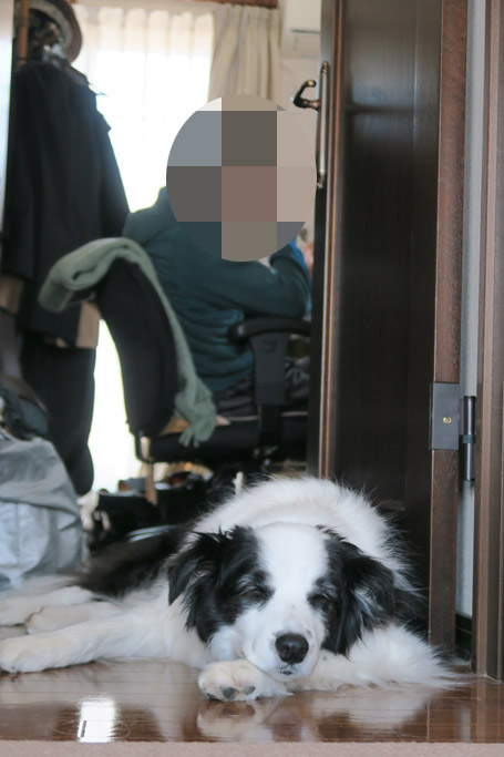 f:id:border-pichi:20200426005125j:plain