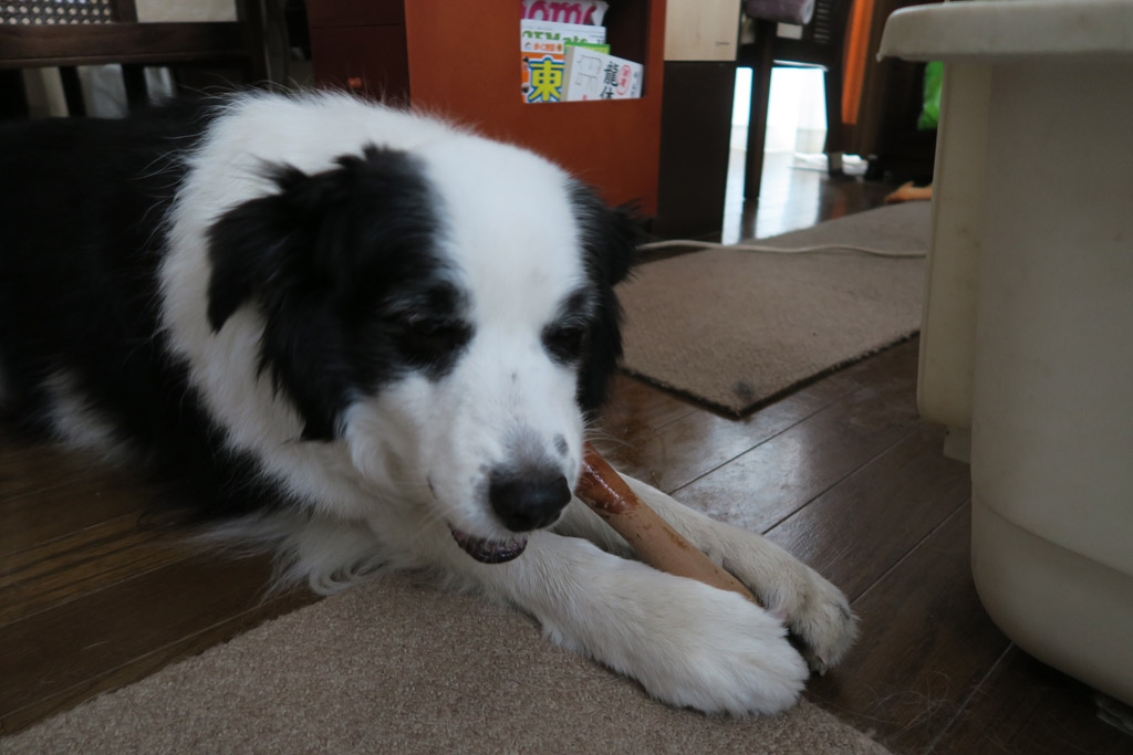 f:id:border-pichi:20200505000527j:plain