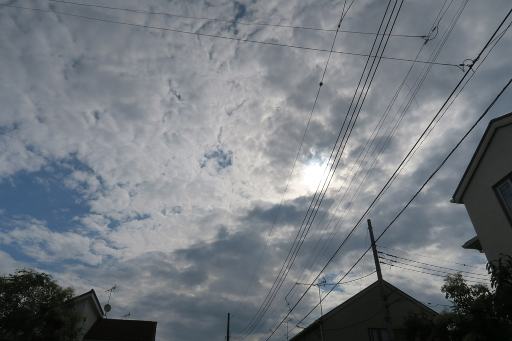 f:id:border-pichi:20200802012225j:plain