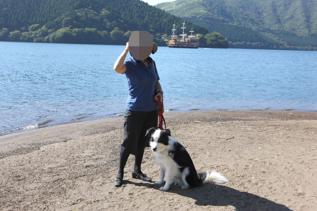 f:id:border-pichi:20200808001059j:plain