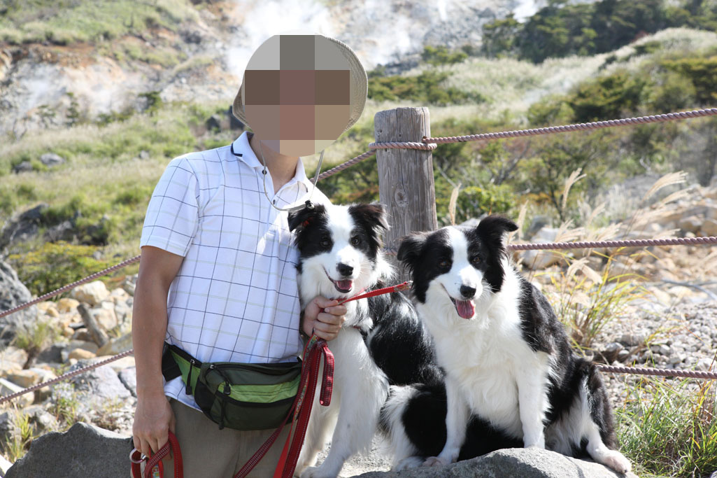 f:id:border-pichi:20200808001200j:plain