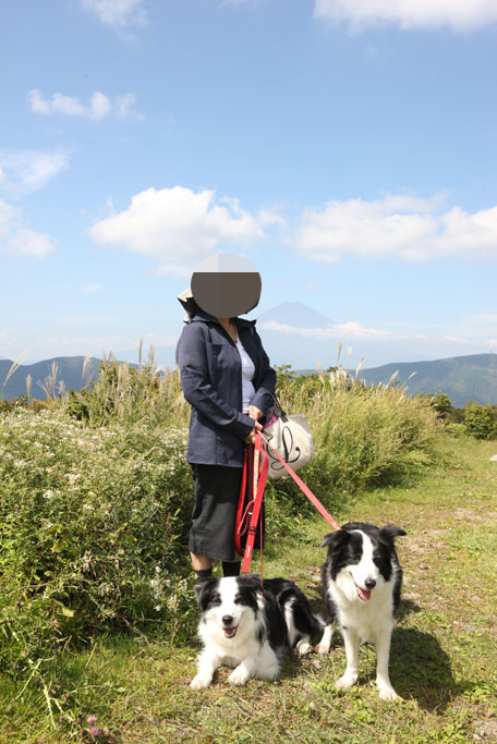 f:id:border-pichi:20200808001448j:plain
