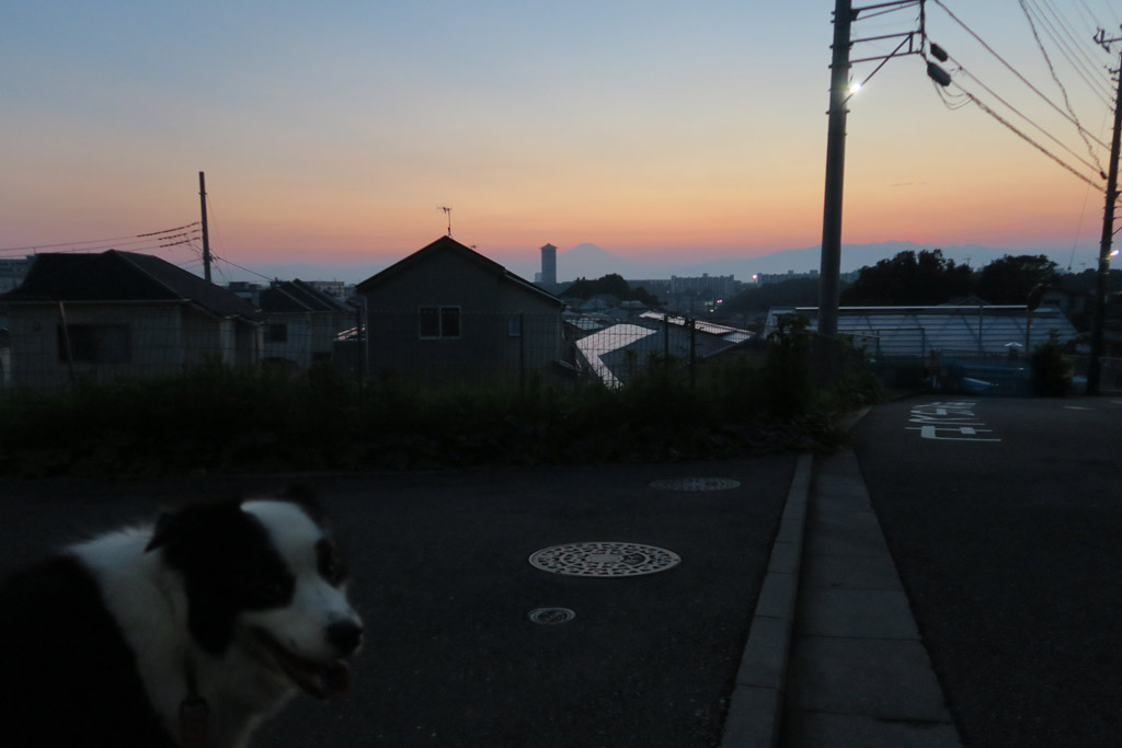 f:id:border-pichi:20200822003532j:plain