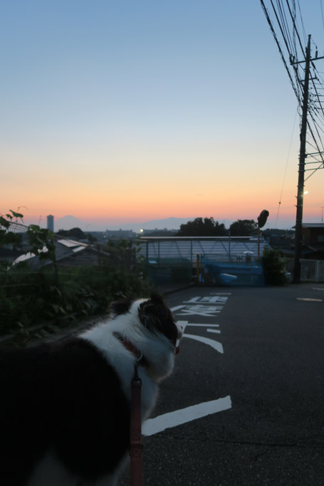 f:id:border-pichi:20200822003712j:plain