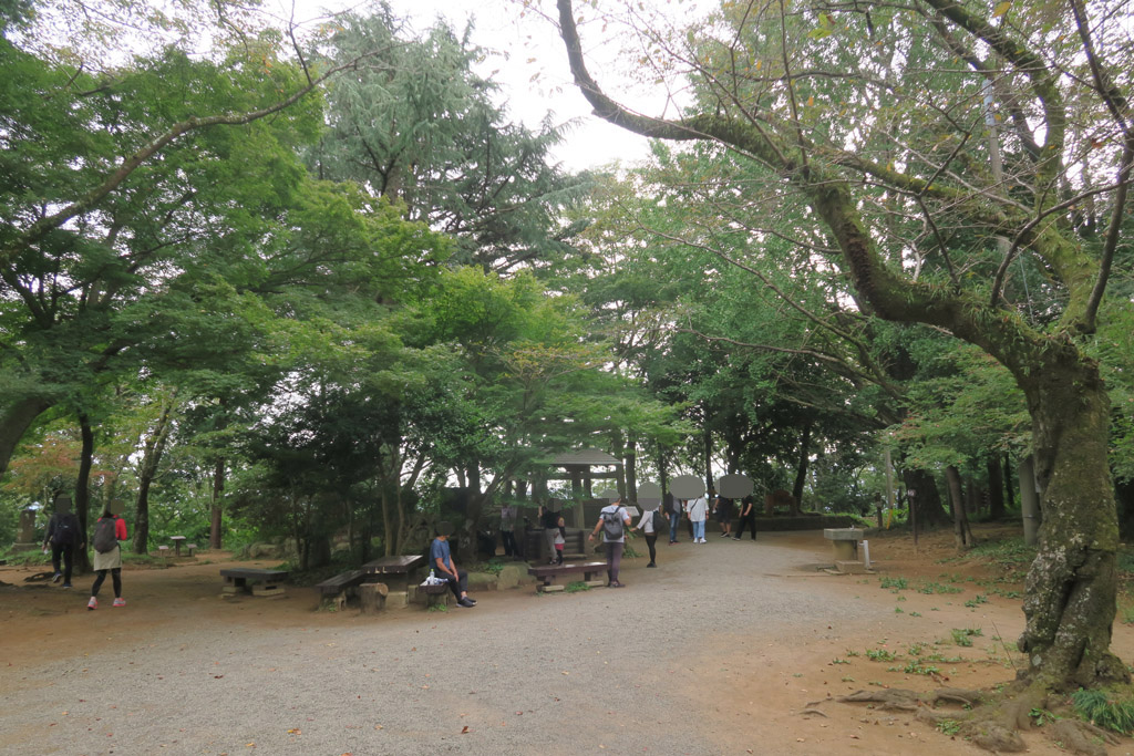 f:id:border-pichi:20201004011716j:plain