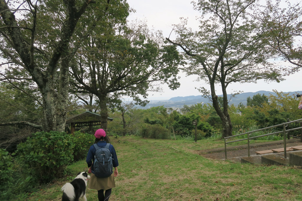 f:id:border-pichi:20201004012712j:plain